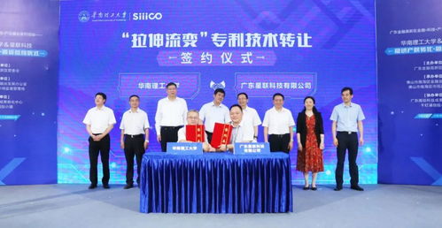 知识产权质押融资赋能技术转让，金融力量驱动创新发展