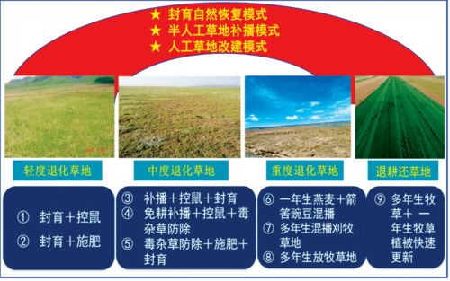 西北内陆区极端环境生态系统修复理论与技术成果推介