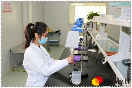 木瓜汁保健饮料配方开发与专业加工技术转让